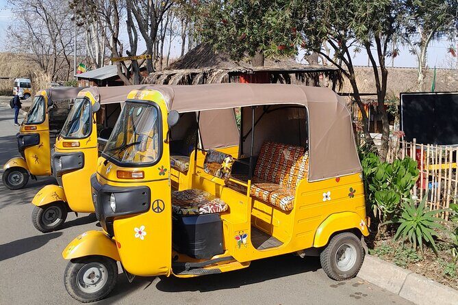 Bicycle or Tuk Tuk Soweto Guided Experience - Key Points