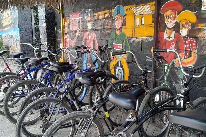 Bicycle or Tuk Tuk Soweto Guided Experience - Who Is This Tour Best Suited For?