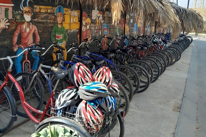 Bicycle or Tuk Tuk Soweto Guided Experience - The Sum Up: Who Should Book This Tour?