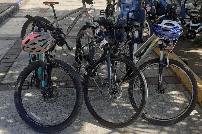 Bicycle Tour in Ixtapa - Final Thoughts