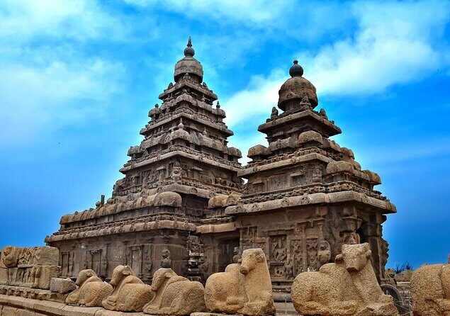 Bicycle tour in Mahabalipuram with transport from Chennai,lunch & guide - Key Points