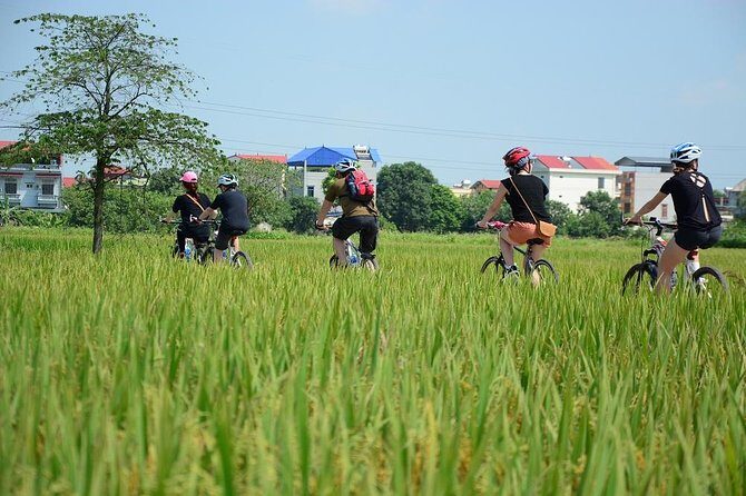 Bicycle Tours Hanoi: Full Day Bicycle Tours City & Countryside - An In-Depth Look at the Full-Day Hanoi Bicycle Tour