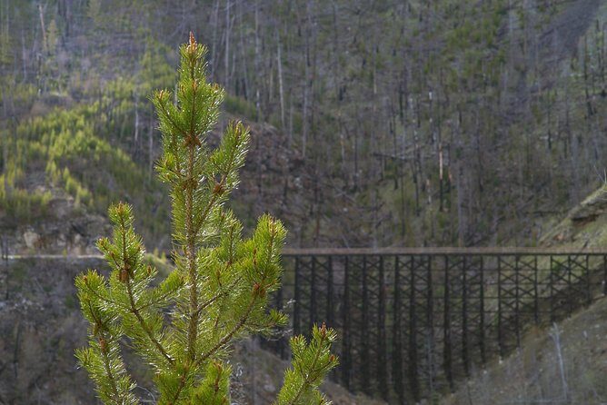 Bicyle Tour on Historical Kettle Valley Railway from Myra Canyon to Penticton - FAQ