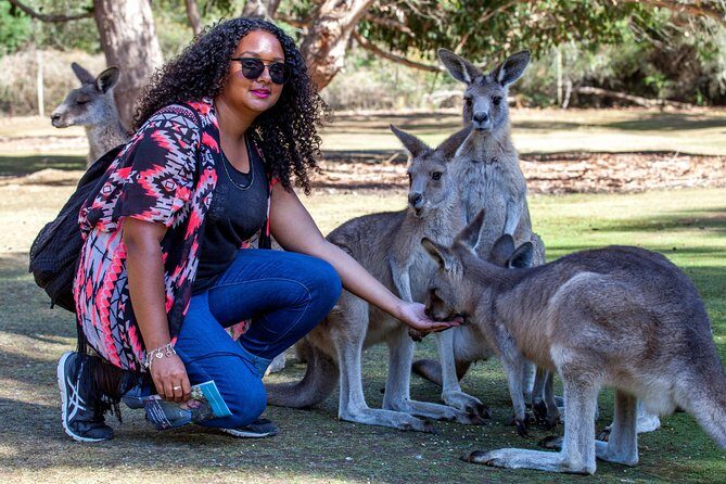 BIG 3 Tasmania - Port Arthur, Wineglass Bay, Cradle Mountain - FAQ