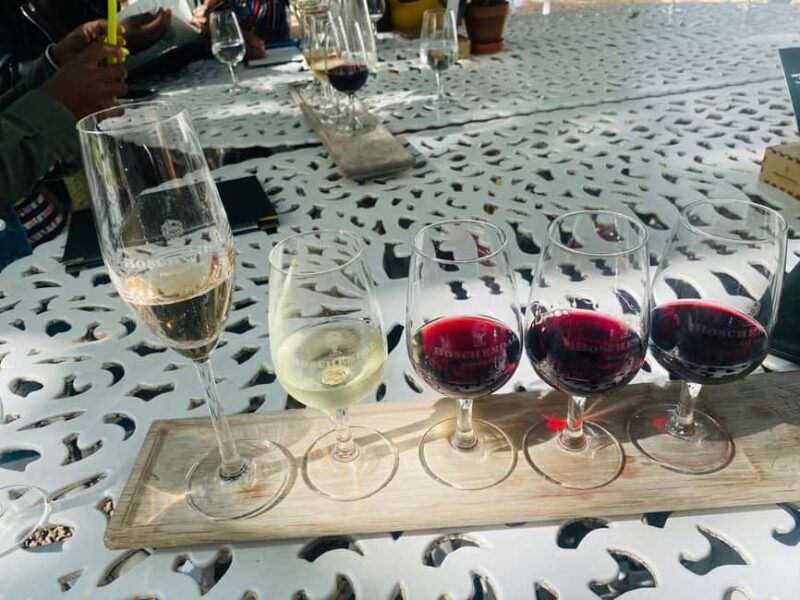 Big 5 Aquila Reserve Safari with Lunch and Tasting - Key Points