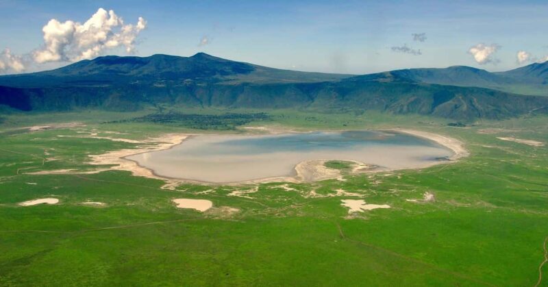 Big 5 Exploring in Ngorongoro Crater. - An Introduction to the Ngorongoro Experience
