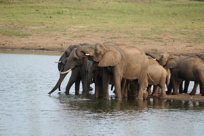 BIG 5 Kruger 4 Day Safari From Johannesburg - Authentic Experiences and Authentic Guides
