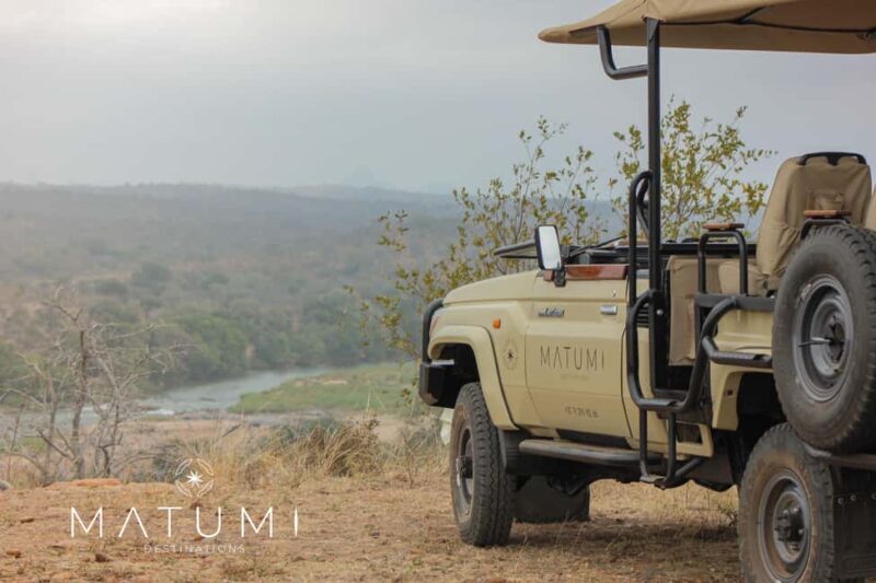 Big 5 Safari Am or Pm - Big 5 Safari Am or Pm: A Close Encounter with Africa’s Wildlife