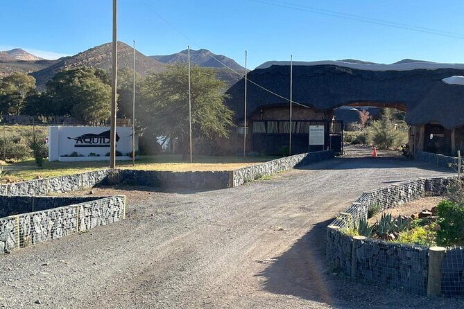 Big 5 Safari Aquila Full Day Private Return From Cape Town - What the Reviews Tell Us