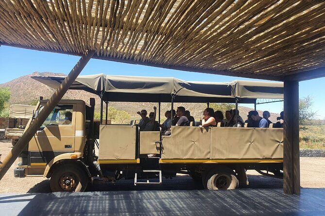 Big 5 Safari Aquila Full Day Private Return From Cape Town - Who Will Love This Tour?