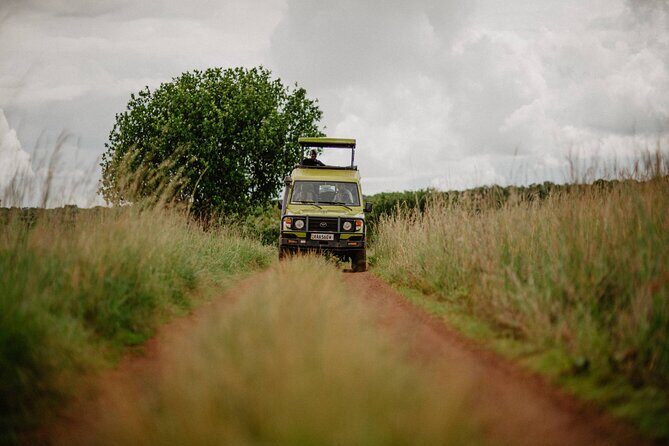 Big 5 Safari Day Trip - Who Will Love This Tour?