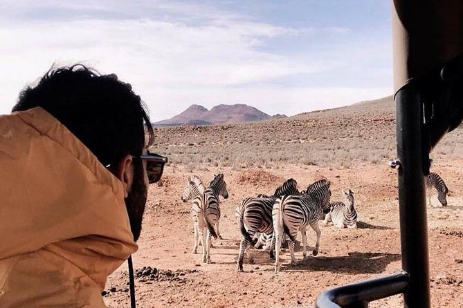 Big 5 Safari One Day Tour - Closing Thoughts: Is This Tour for You?
