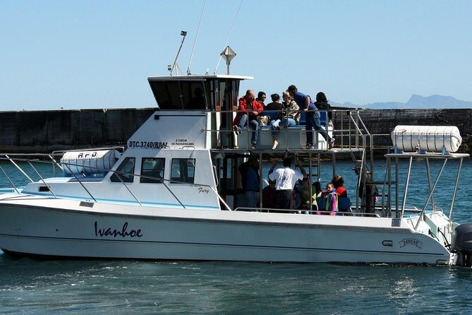 Big 5 Sea Safari in Walker Bay from Gansbaai - An In-Depth Look at the Big 5 Sea Safari
