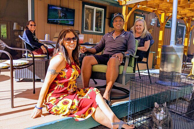 Big Bear Backyard Tasting with Wine, Beer, Charcuterie Fun Vibes - Key Points