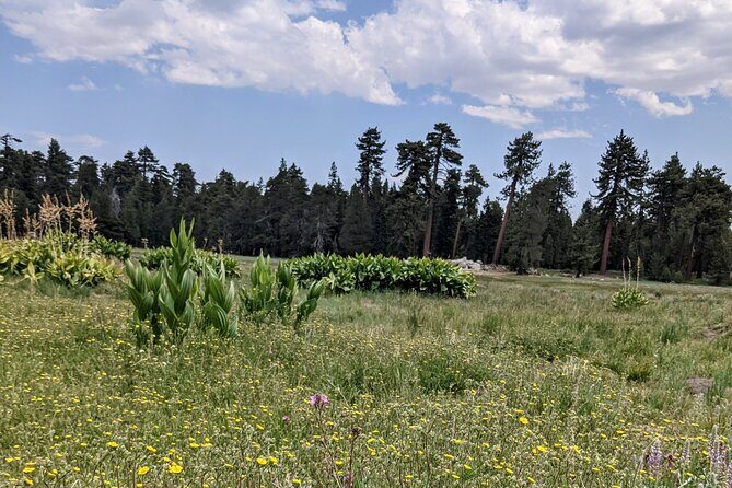 Big Bear Jeep off-road tour with Hike to Bluff Lake Reserve - FAQ