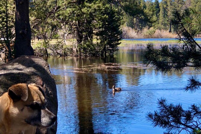 Big Bear Jeep off-road tour with Hike to Bluff Lake Reserve - Final Thoughts