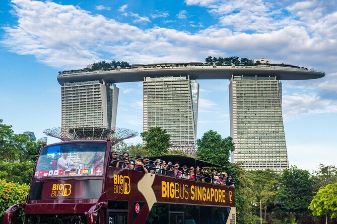 Big Bus Singapore Hop-On Hop-Off Tour - The Optional Night Tour: An Evening Highlight