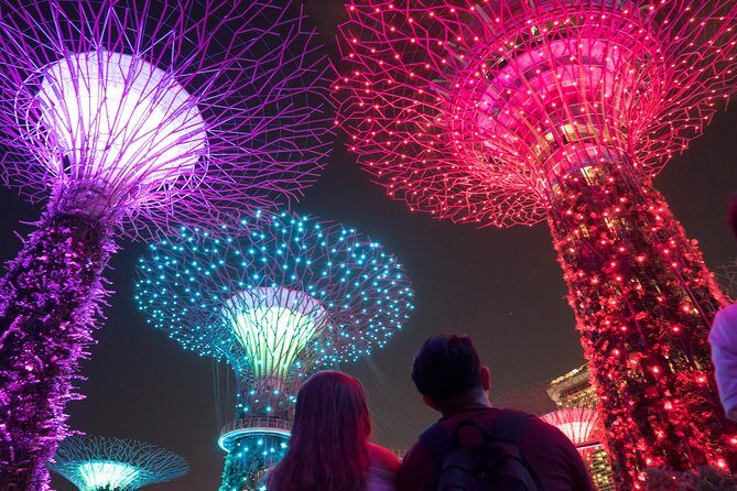 Big Bus Singapore Night Tour with Gardens by the Bay Light Show - Practical Tips for Travelers