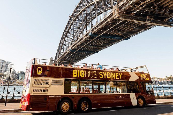 Big Bus Sydney and Bondi Hop-on Hop-off Tour - The Experience in Detail