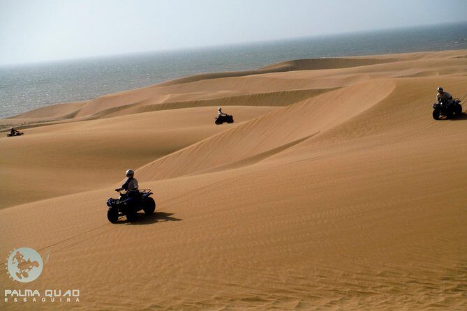 Big Cap Sim dunes and forest 3 hours tour. - An In-Depth Look at the Experience