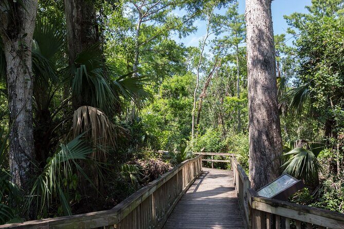Big Cypress National Preserve Self Guided Driving Audio Tour - An In-Depth Look at the Big Cypress National Preserve Self-Guided Tour