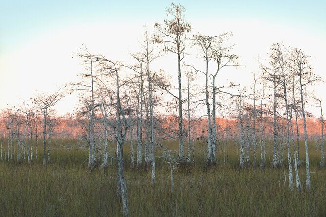 Big Cypress National Preserve Self Guided Driving Audio Tour - FAQ