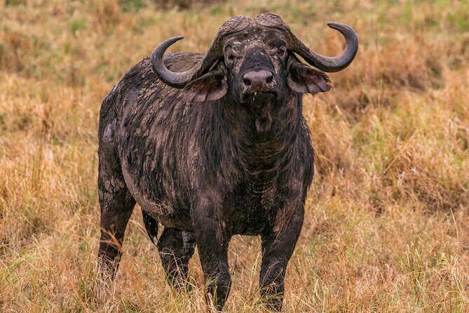 Big Five Classic Safari in Tanzania **Sustainable Travel approach - Final Thoughts