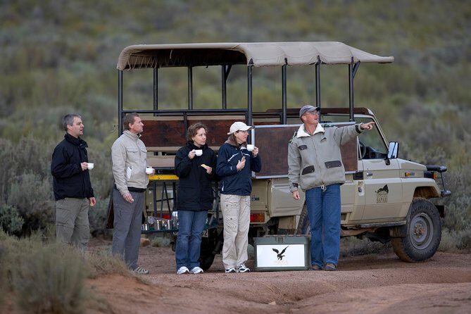 Big Five Game Reserve Wildlife Safari from Cape Town - Comfortable Transportation and Punctual Pickup