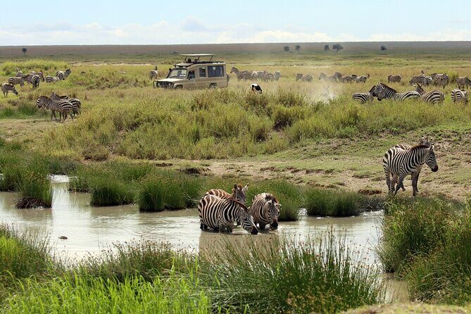 Big Five Luxury 7 Days Safari Tour in Arusha - Why This Safari Offers Great Value