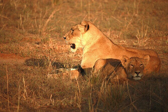 Big Five Luxury Safari in Tanzania - The Sum Up: Who Will Love This Safari?