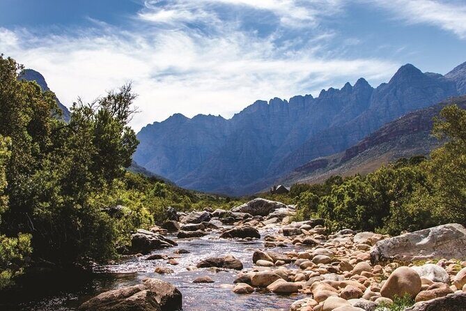 Big Five Safari and Breede River Valley Guided Day Trip - An In-Depth Look at the Experience