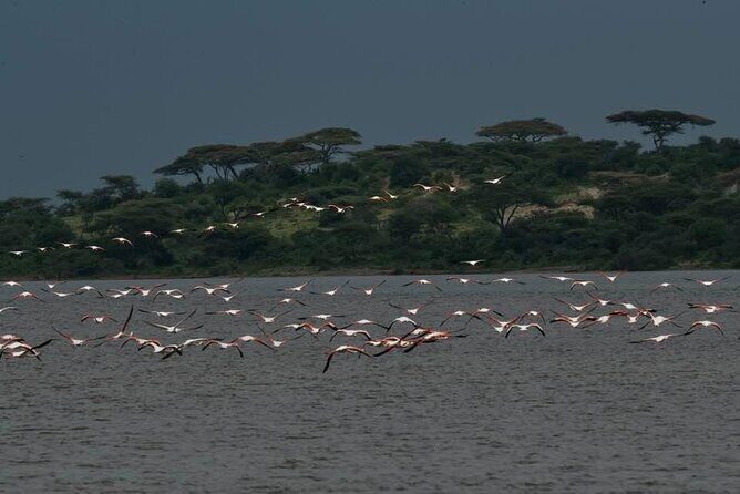 Big Five Safari In Tanzania - Final Thoughts