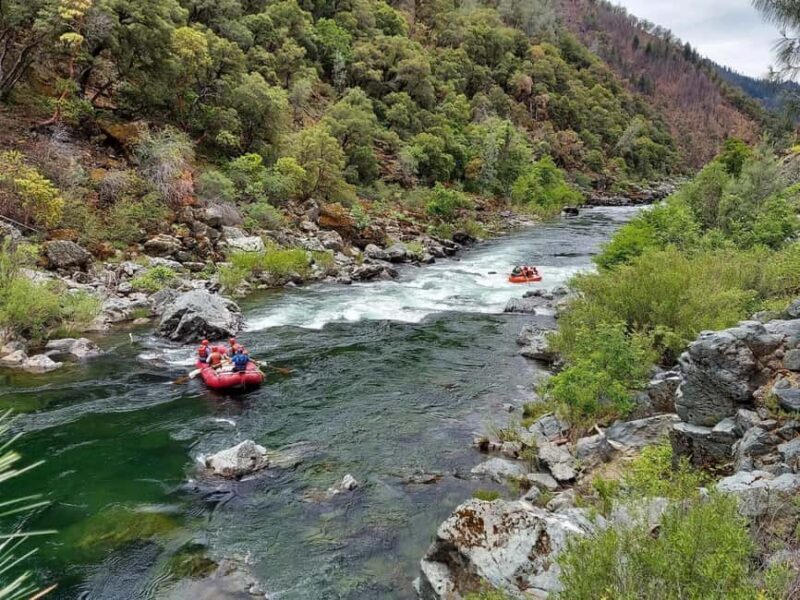 Big Flat: Upper Trinity Class II Scenic Rafting Trip - What Makes this Rafting Trip Stand Out?
