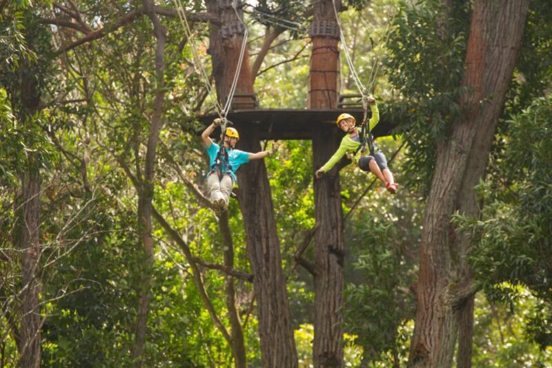 Big Island: 3-Hour Kohala Canopy Zipline Adventure - Key Points