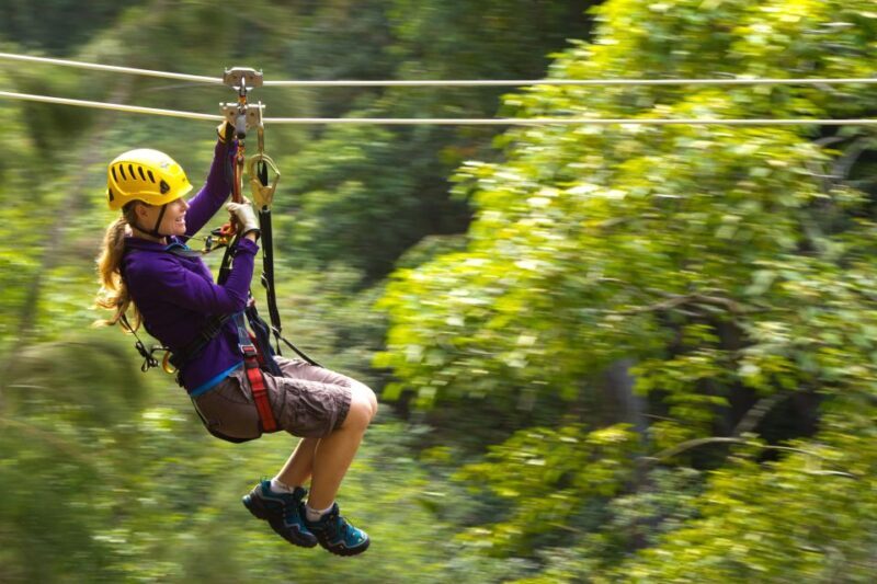 Big Island: 3-Hour Kohala Canopy Zipline Adventure - A Closer Look at the Kohala Canopy Zipline Adventure