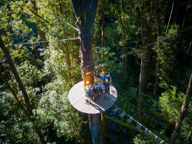 Big Island: 3-Hour Kohala Canopy Zipline Adventure - Final Thoughts: Who Will Love This Tour?