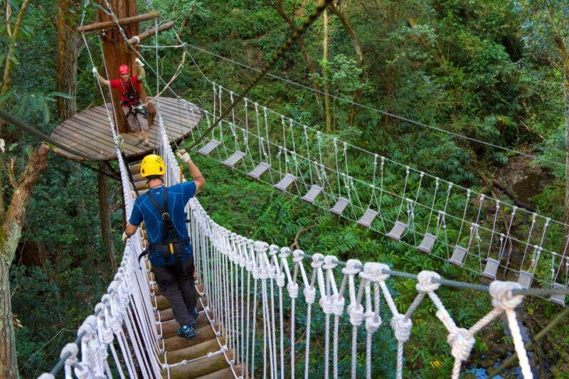 Big Island: 3-Hour Kohala Canopy Zipline Adventure - FAQ