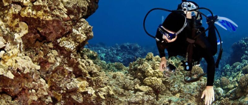 Big Island: 3 Hour Waikoloa Snorkeling & Sailing Adventure - A Closer Look at the Waikoloa Snorkeling & Sailing Adventure