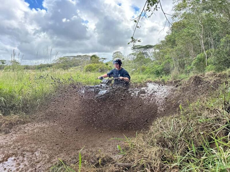 Big Island ATV Tour - The Reality of the ATV Tour: An In-Depth Look