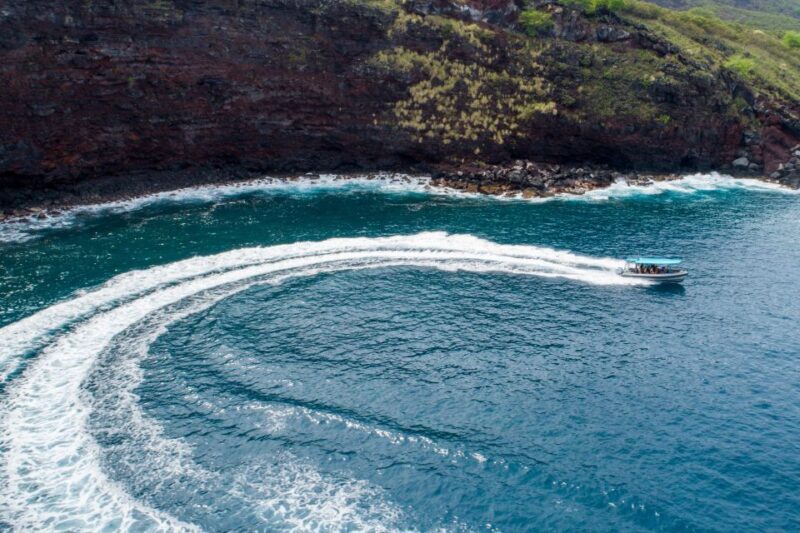 Big Island: Captain Cook Sightseeing & Snorkel Expedition - The Guides & Customer Experience