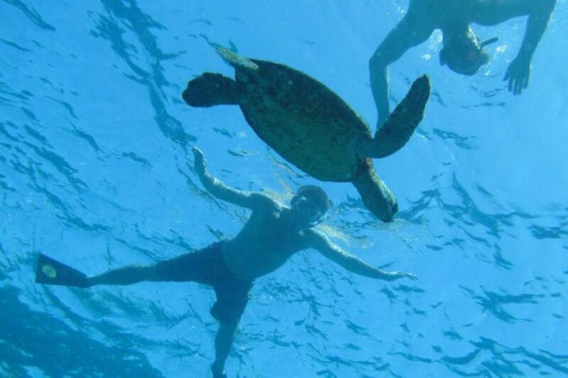 Big Island: Captain Cook Sightseeing & Snorkel Expedition - The Price & Value Proposition