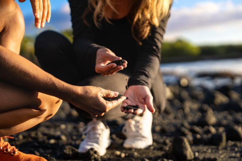 Big Island: Coffee, Black Sand, Volcano and Waterfall Tour - The Value of This Tour