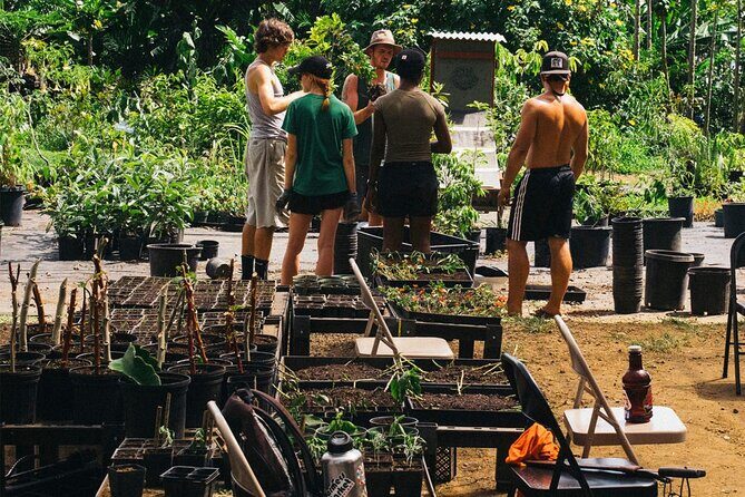 Big Island Farms Tour in Hawaii - A Closer Look at the Big Island Farms Tour