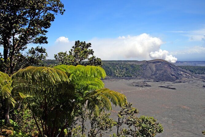 Big Island Hawaii Volcano Day tour from Honolulu and Hotel PU - Analyzing the Experience: What to Expect