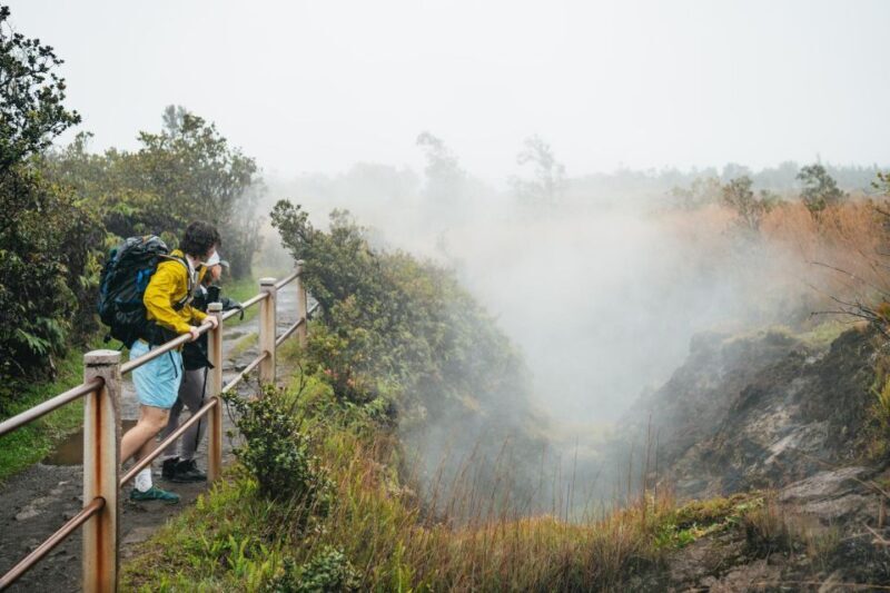 Big Island: Hawai'i Volcanoes National Park Guided Hike - Who Should Consider This Tour?