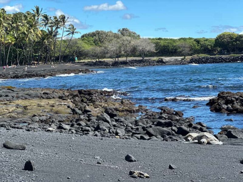 Big Island: Hilo to Kona Day Tour with Tastings - The Practicalities