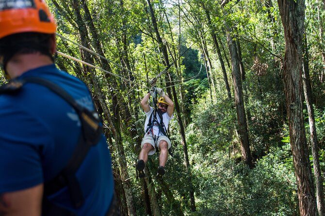 Big Island Kohala Canopy Zipline Adventure - The Sum Up
