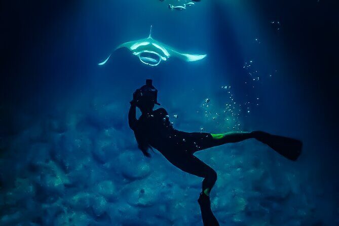 Big Island, Kona Manta Ray Night Snorkel Tour - Considerations and Tips