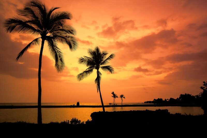 Big Island: Luxury Catamaran Trip along the Kona Coast - What the Reviews Say