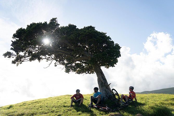Big Island Mountain Biking on Anna Ranch - Authenticity & Reviews